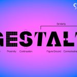 Digital Marketing Company in Hyderabad